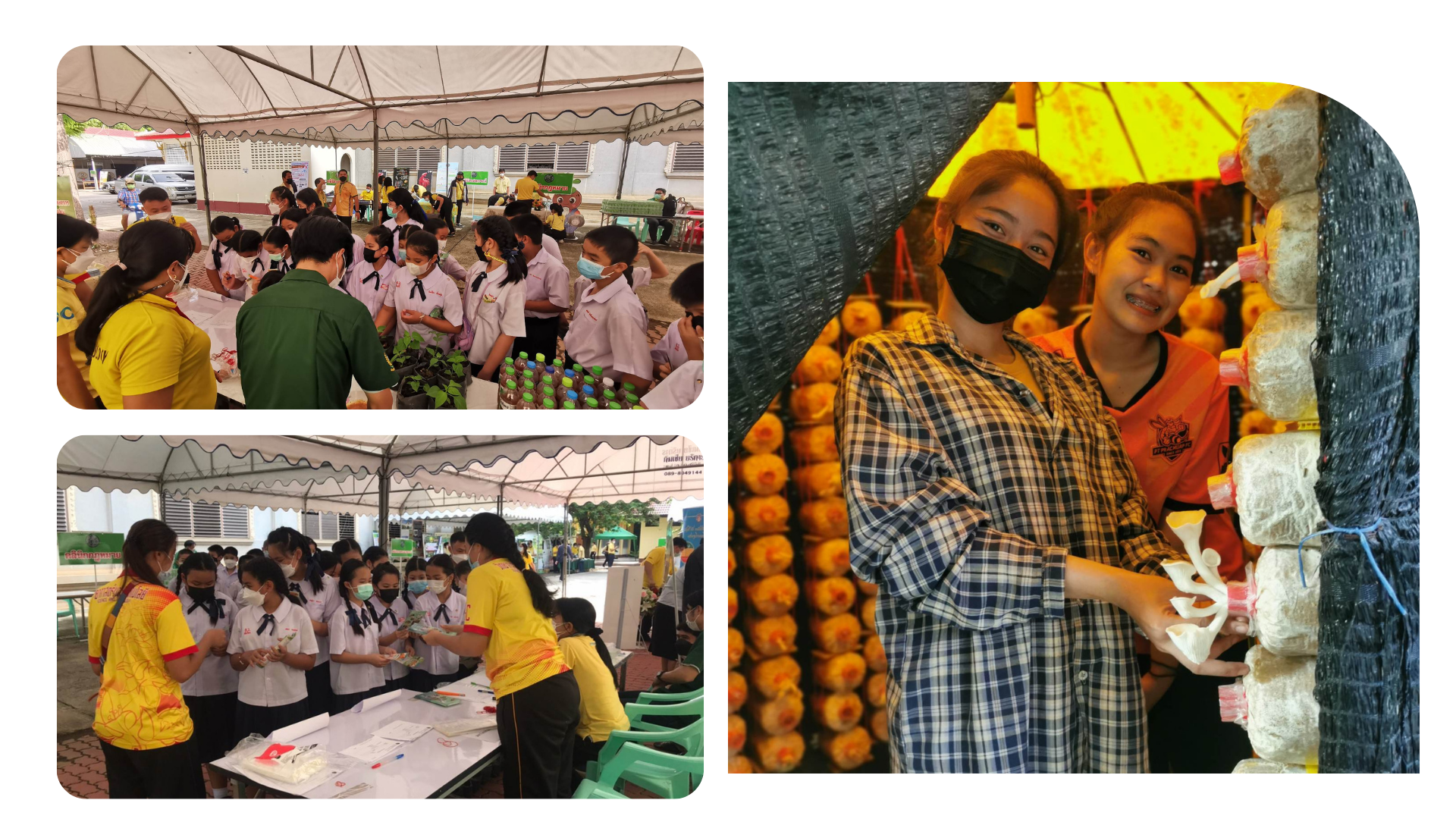 รูปกิจกรรมเด่น