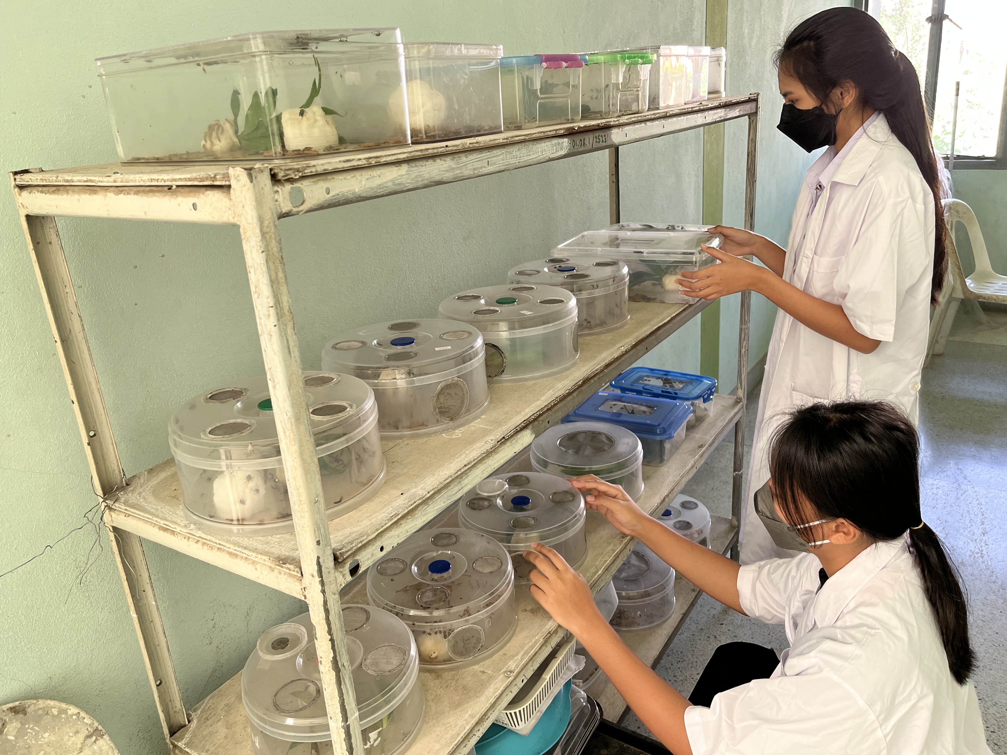 รูปห้องปฏิบัติการ