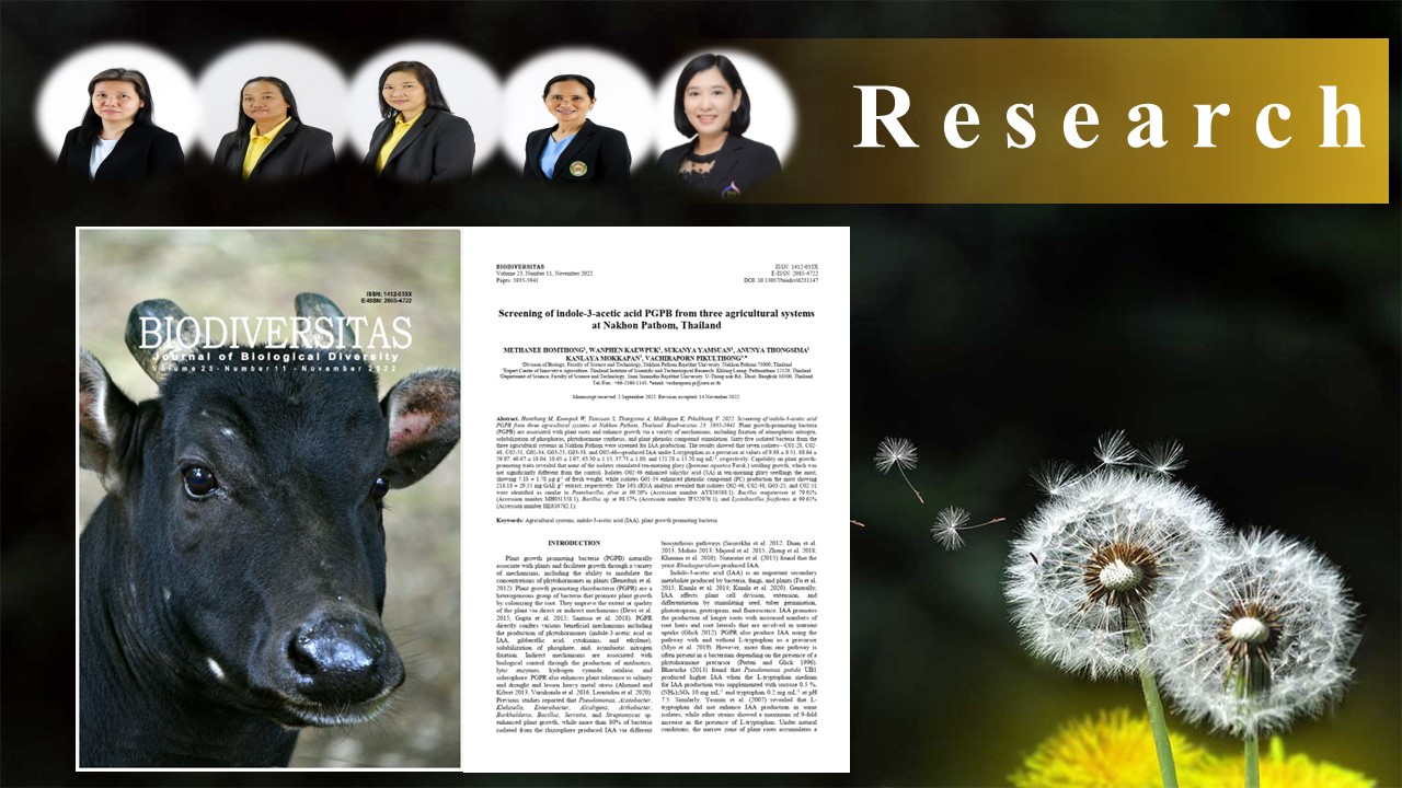 รูปผลงานอาจารย์