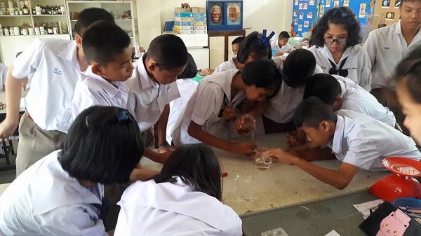 การฝึกประสบการณ์วิชาชีพโรงเรียนเทศบาล 1 วัดพระงาม และ โรงเรียนสามัคคีพิทยา