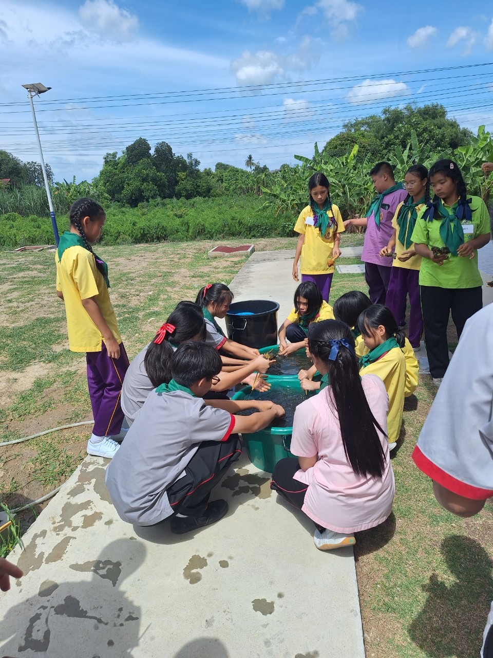 青年营项目红十字会青年在自给自足经济学习中心遵循自给自足经济理念。佛统皇家大学