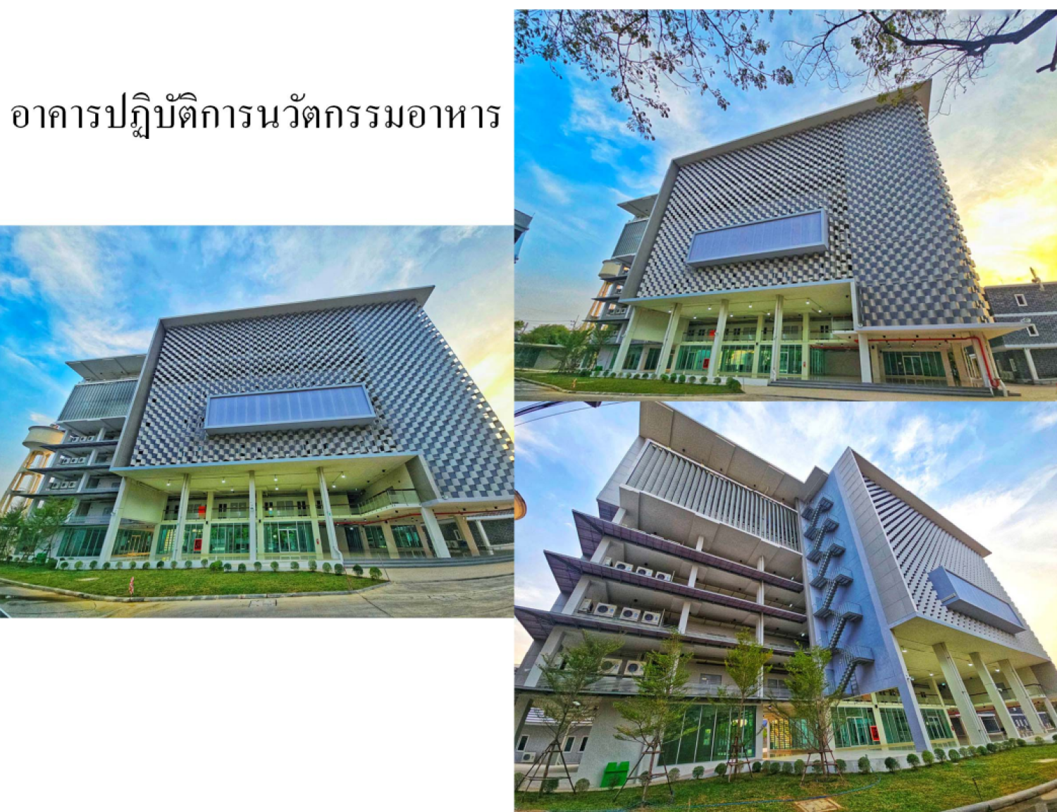 แผนผังบริเวณจัดงาน